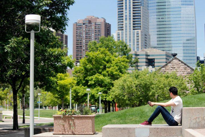 Student sitting outside looking at 丹佛 skyscrapers and trees